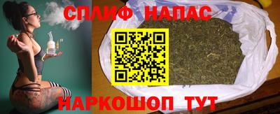 крисы Партизанск