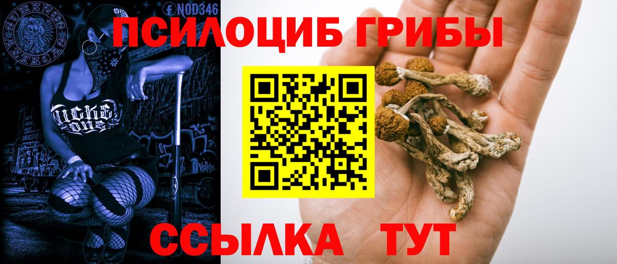 Псилоцибиновые грибы мицелий  Вход с VPN  Чебоксары 