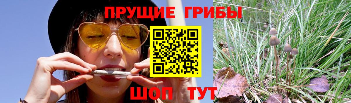 Галлюциногенные грибы GOLDEN TEACHER Чебоксары